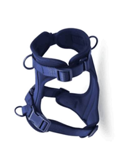 Dog Harness