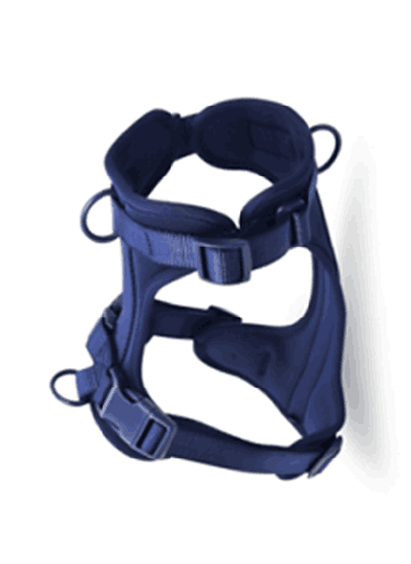 Dog Harness